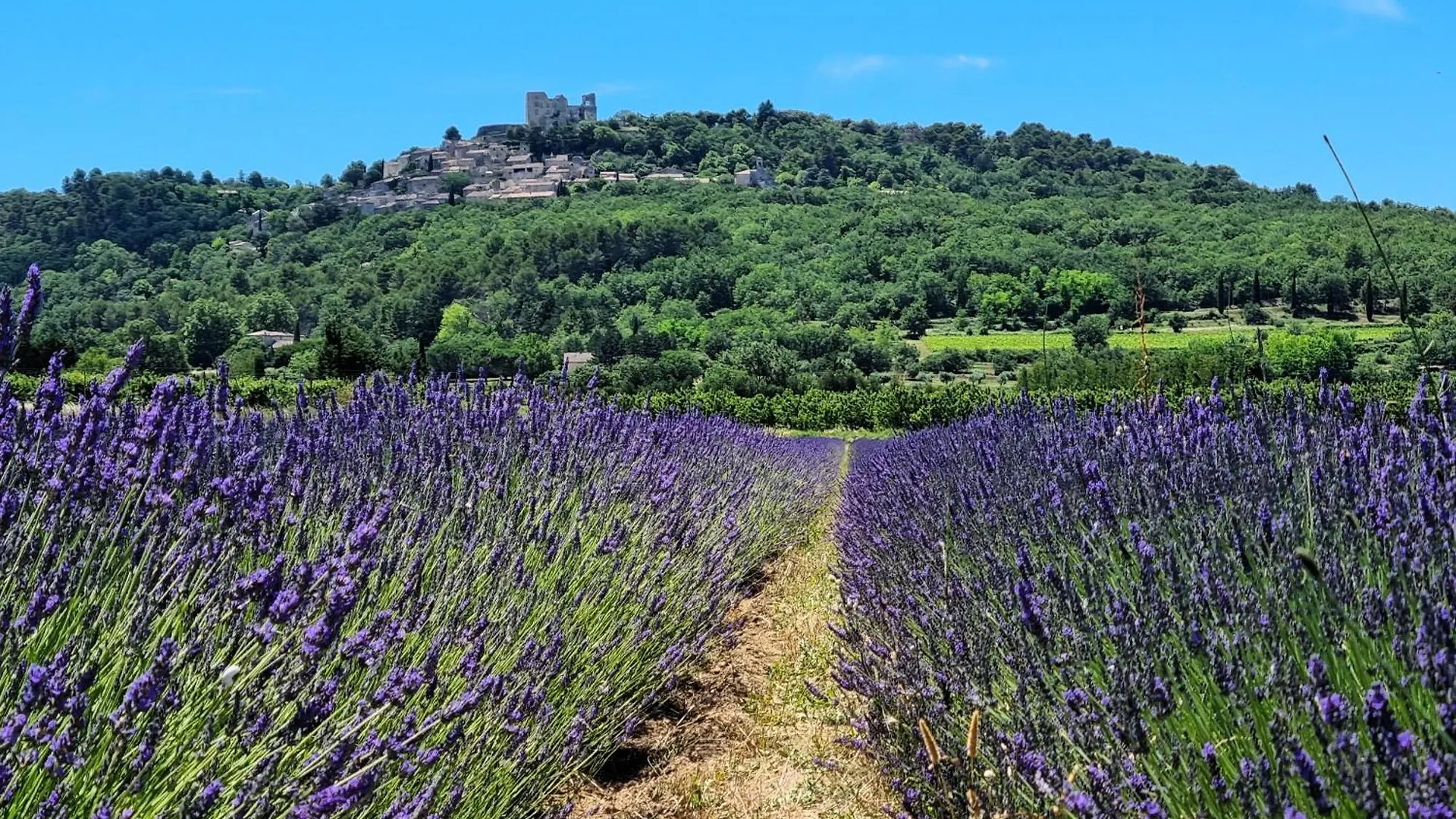 Holiday home Mas Les Fabrys Au Coeur Du Luberon Villa Bonnieux