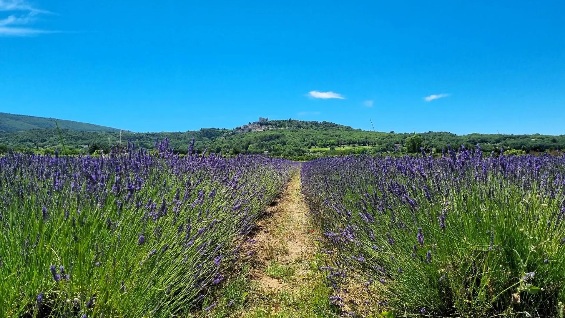 Mas Les Fabrys Au Coeur Du Luberon Villa Bonnieux France
