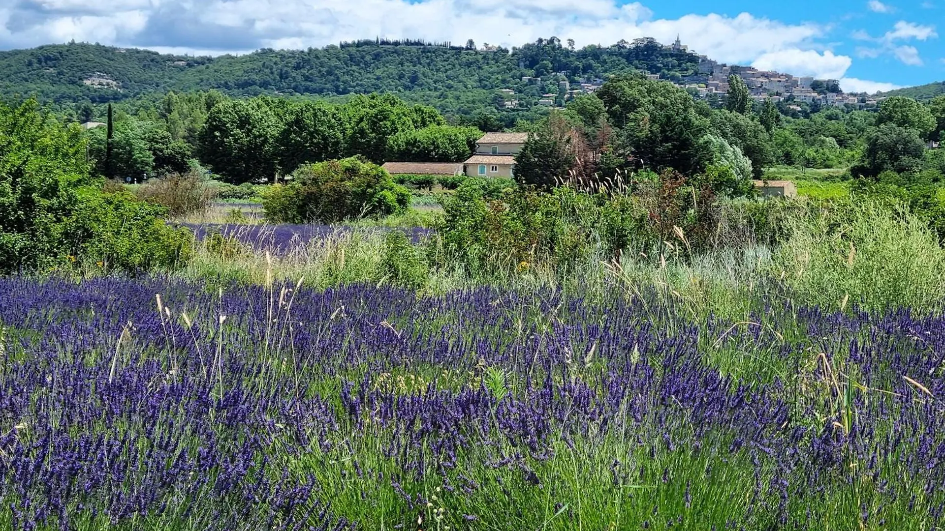 Mas Les Fabrys Au Coeur Du Luberon Villa Bonnieux 0*,  France